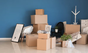 Removalists Parramatta