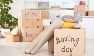 Home Removals